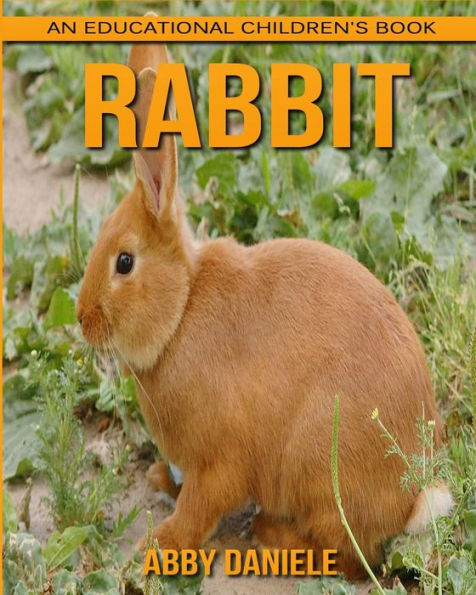 Rabbit! An Educational Children's Book about Rabbit with Fun Facts & Photos