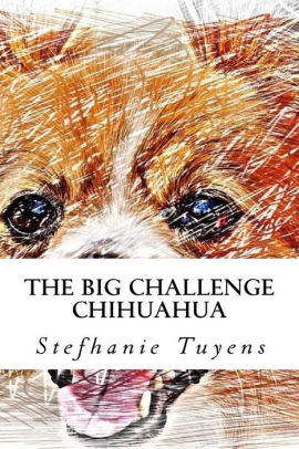 My experience with Chihuahua temperament