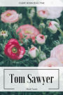 Tom Sawyer