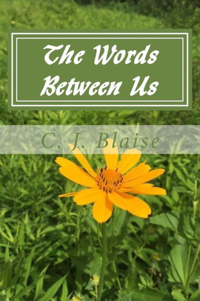 The Words Between Us