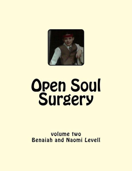 Vol. 2, Open Soul Surgery, large print edition: Seven Flames: Letters to Manasseh