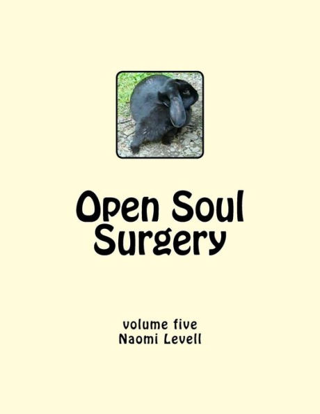 Vol. 5, Open Soul Surgery, large print edition: The Daughter