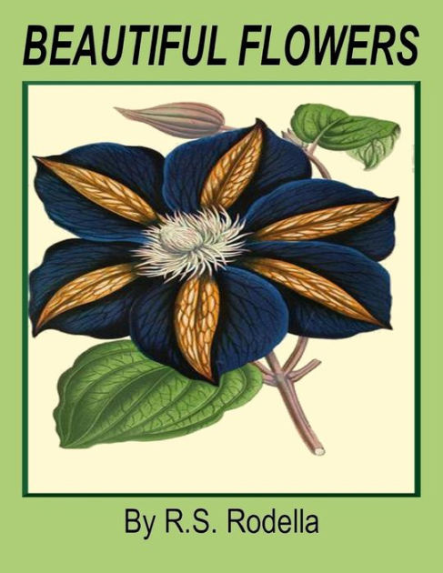 Beautiful Flowers Coffee Table Book By R S Rodella Paperback Barnes Noble - Flower Coffee Table Books Beautiful Flowers Coffee Table Book By R S Rodella Paperback Barnes Noble - Flower Coffee Table Books