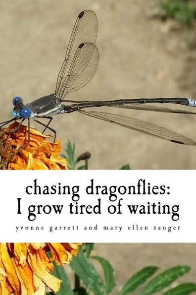 chasing dragonflies: I grow tired of waiting