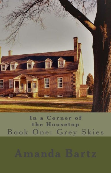 In a Corner of the Housetop: Book One: Grey Skies