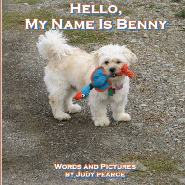 Hello, My Name Is Benny