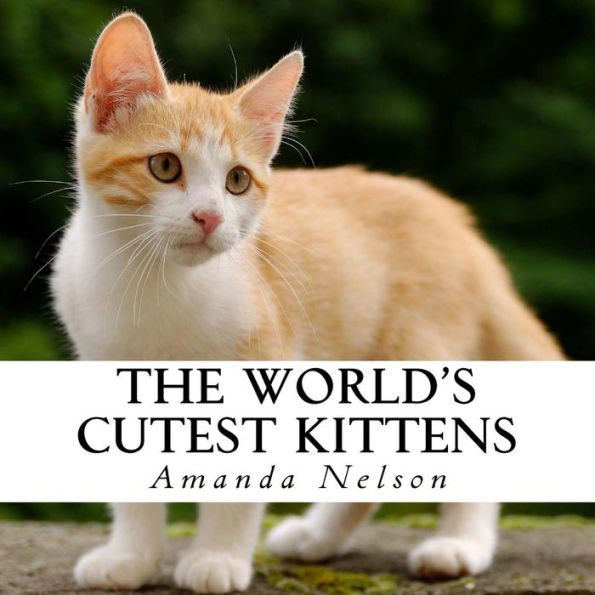 The World's Cutest Kittens: A text-free book for Seniors and Alzheimer's patients