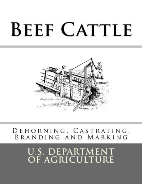 Beef Cattle: Dehorning, Castrating, Branding and Marking