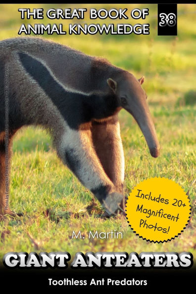 Giant Anteaters: Toothless Ant Predator