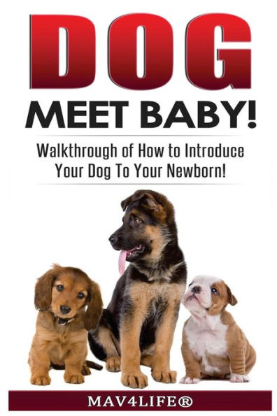 Dog Meet Baby!: Walk-Through of How to Introduce Your Dog To Your Newborn!