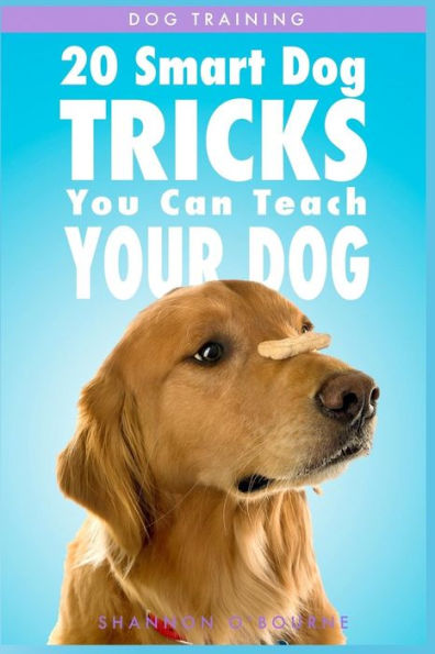 Dog Training: 20 Smart Tricks You Can Teach Your