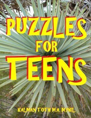 Puzzles For Teens 133 Large Print Themed Word Search Puzzlespaperback - 