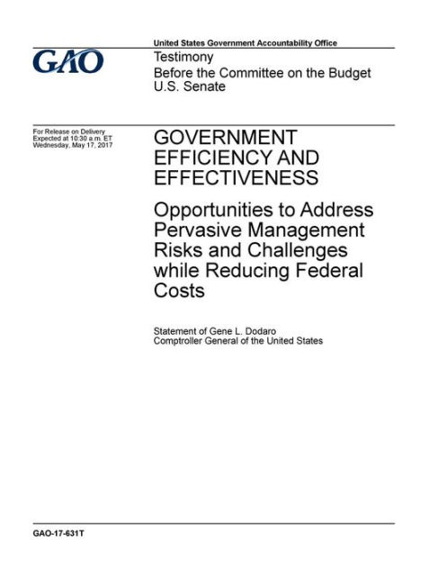 Government efficiency and effectiveness, opportunities to address ...