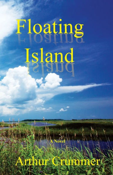 Floating Island: Paul Awakens