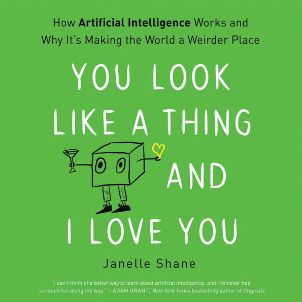 You Look Like a Thing and I Love You: How Artificial Intelligence Works and Why It's Making the World a Weirder Place