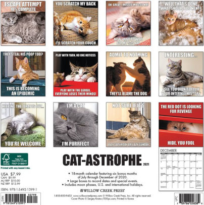 Willow Creek Cat-astrophe 2021 Mini Calendar 7" x 7" 