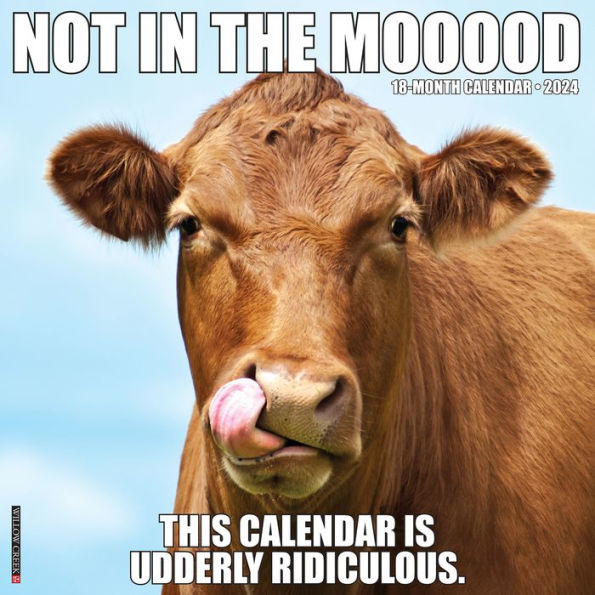 Not in the Mooood 2024 12" x 12" Wall Calendar