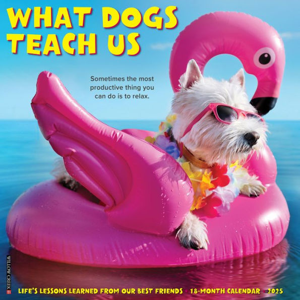 What Dogs Teach Us 2025 12 X 12 Wall Calendar by Willow Creek Press