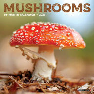 Title: Mushrooms 2025 7 X 7 Mini Wall Calendar