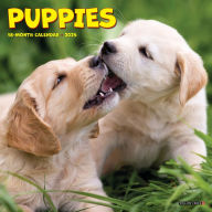 Title: Puppies 2025 7 X 7 Mini Wall Calendar