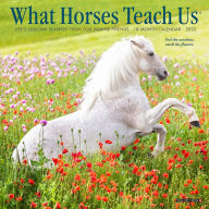 Title: What Horses Teach Us 2025 7 X 7 Mini Wall Calendar