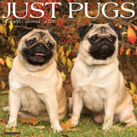 Title: Pugs 2026 Wall Calendar