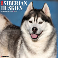 Title: Siberian Huskies 2026 Wall Calendar