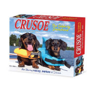Title: Crusoe the Celebrity Dachshund 2026 Box Calendar