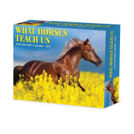 Title: What Horses Teach Us 2026 Box Calendar