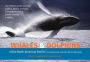 Whales and Dolphins of the North American Pacific: Including Seals and Other Marine Mammals