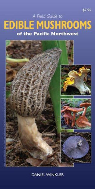 A Field Guide to Edible Mushrooms of the Pacific Northwest by Daniel ...