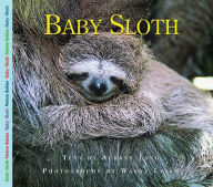 Title: Baby Sloth, Author: Aubrey Lang