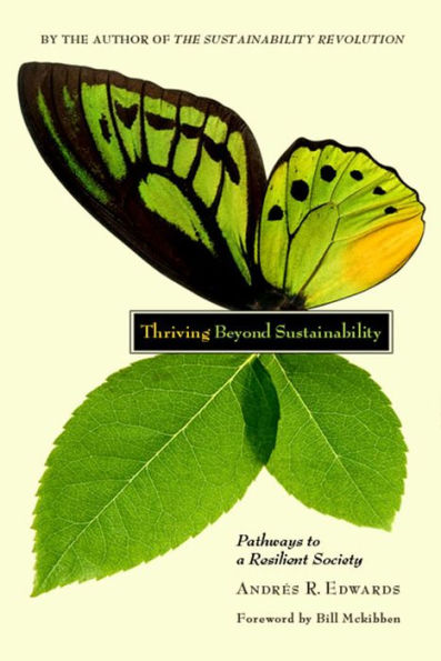 Thriving Beyond Sustainability: Pathways to a Resilient Society