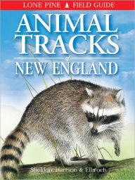 Title: Animal Tracks of New England, Author: Ian Sheldon