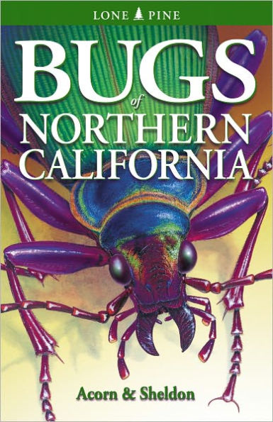 Bugs of Northern California