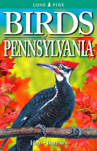 Title: Birds of Pennsylvania, Author: Franklin Haas