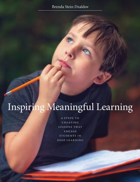 Inspiring Meaningful Learning / Edition 1