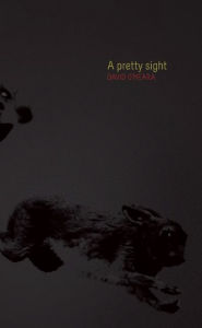 Title: A Pretty Sight, Author: David O'Meara