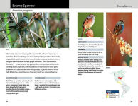 Alternative view 2 of Sparrows and Finches of the Great Lakes Region and Eastern North America