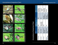 Alternative view 3 of Sparrows and Finches of the Great Lakes Region and Eastern North America