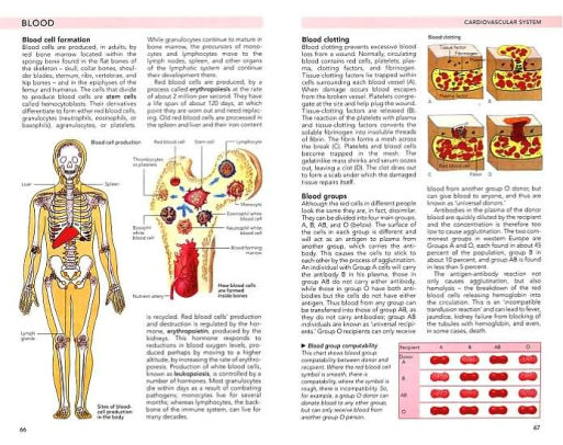 Guide To The Human Bodypaperback - 