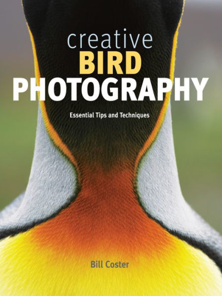 Creative Bird Photography: Essential Tips and Techniques