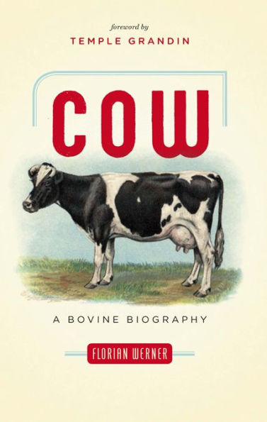 Cow: A Bovine Biography