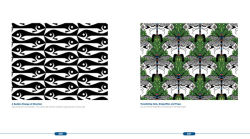 Alternative view 7 of Optical Illusions: The Science of Visual Perception / Edition 3