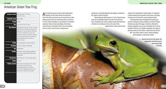 300 Frogs A Visual Reference To Frogs And Toads From