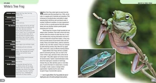 300 Frogs A Visual Reference To Frogs And Toads From