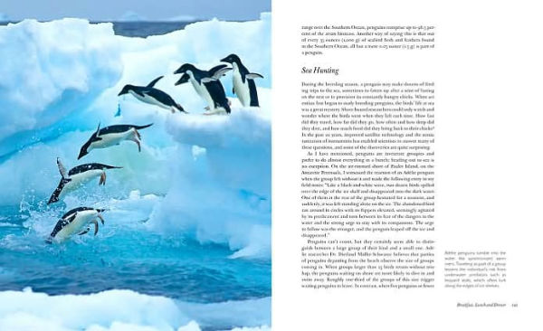 Penguins of the World