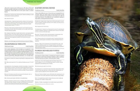 Firefly Encyclopedia Of The Vivarium Keeping Amphibians