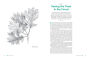 Alternative view 7 of Growing Trees from Seed: A Practical Guide to Growing Native Trees, Vines and Shrubs