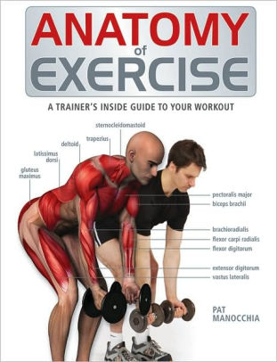 Download Anatomy Of Exercise A Trainer S Inside Guide To Your Workout By Pat Manocchia Paperback Barnes Noble